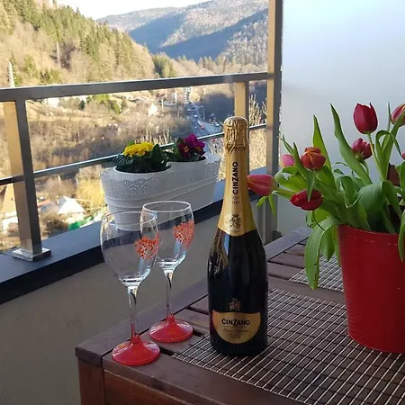 George Apartment Sinaia