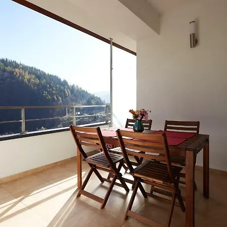 George Apartment Sinaia