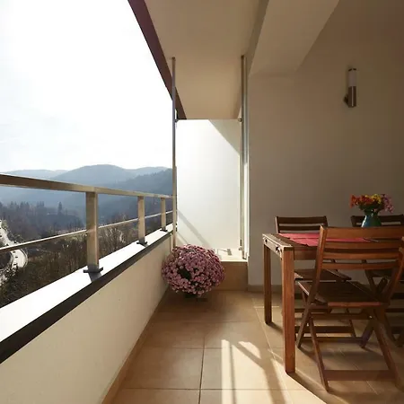 George Apartment Sinaia